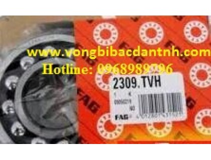 VÒNG BI-BẠC ĐẠN-Ổ BI FAG 2301-2302-2303-2304-2306-2306-2307-2308-2309-2310-2311-2312-2313-2314-2315-2316-2317-2318-2319-2320-2321-2322-2324-2325-2326-2327-2318-2329-2330 